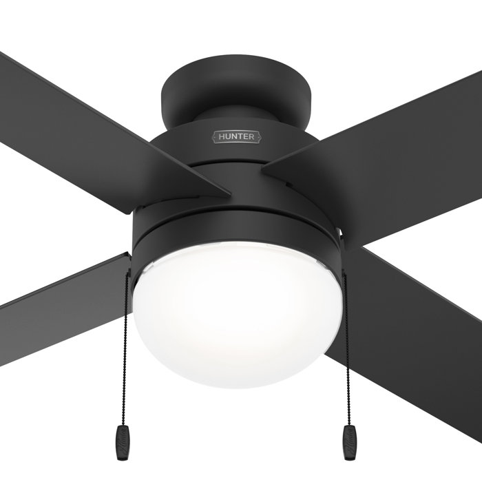 Hunter Fan 52'' Timpani 4 Blade Standard Ceiling Fan with Pull Chain and Light Kit Included
